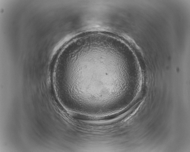 X0000065241167200602171416
