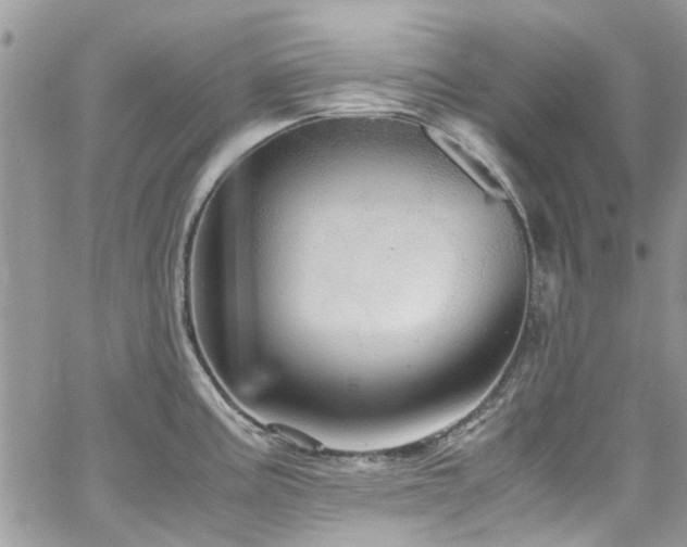 X0000065241195200602171416