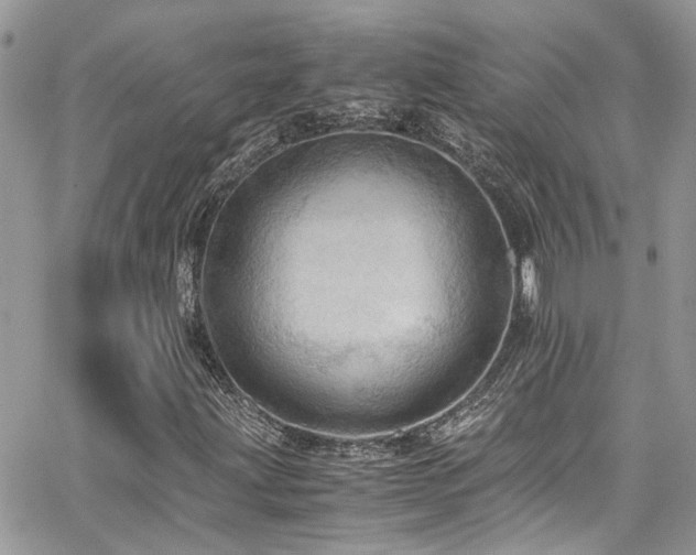 X0000065241203200602171415
