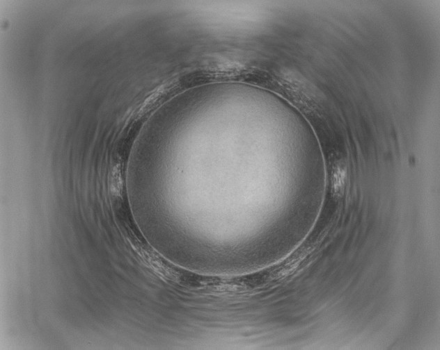X0000065241204200602171415