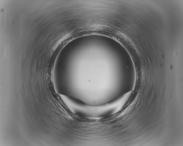 X0000065241210200602171415