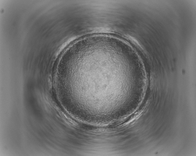 X0000065241212200602171415