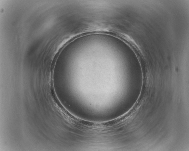 X0000065241220200602171415