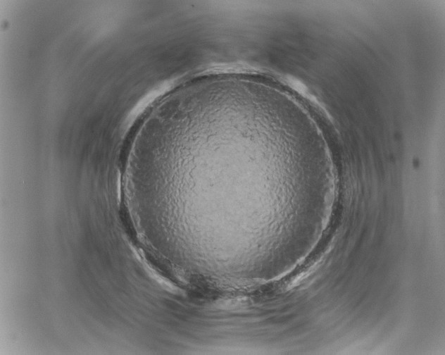X0000065241221200602171415