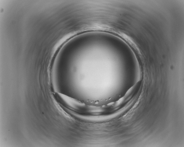 X0000065241238200602171416