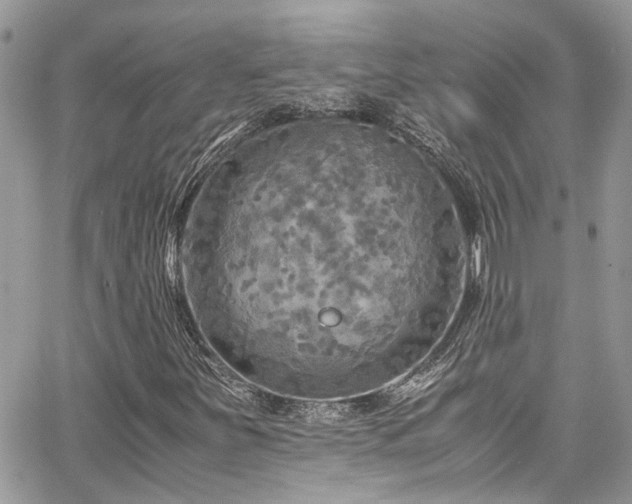 X0000065241251200602171415