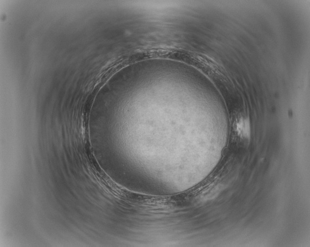 X0000065241252200602171415