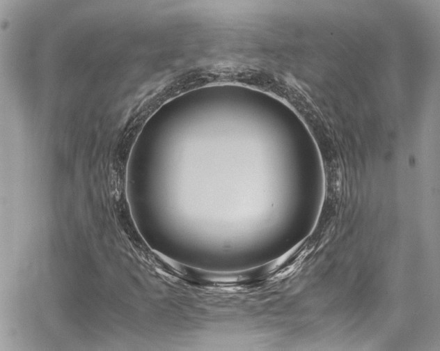 X0000065241253200602171415