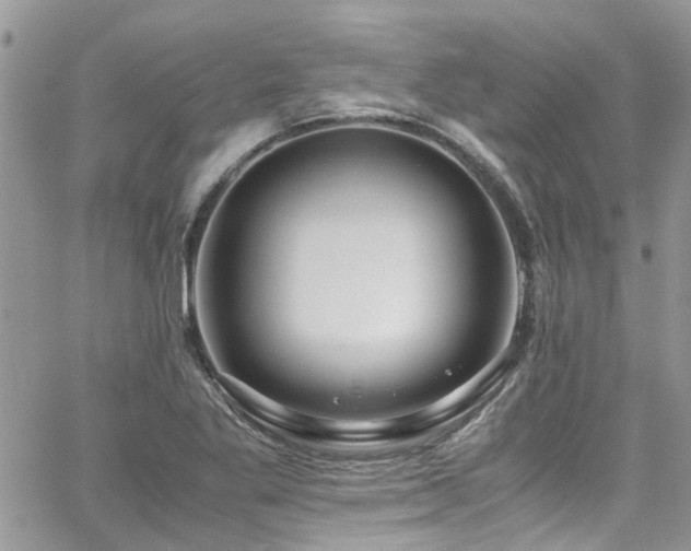 X0000065241269200602171415