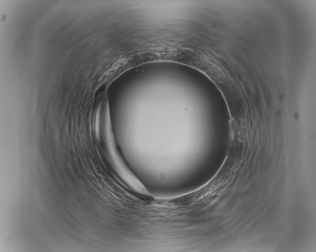 X0000065241298200602171413