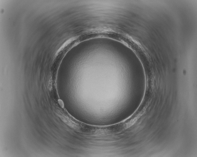 X0000065241306200602171414