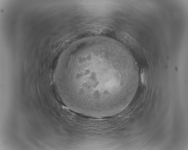 X0000065241347200602171413