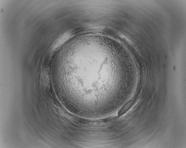 X0000065241354200602171413