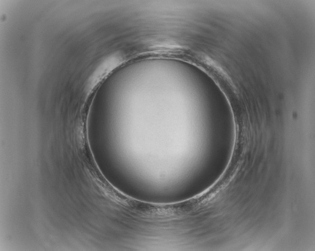 X0000065241362200602171413