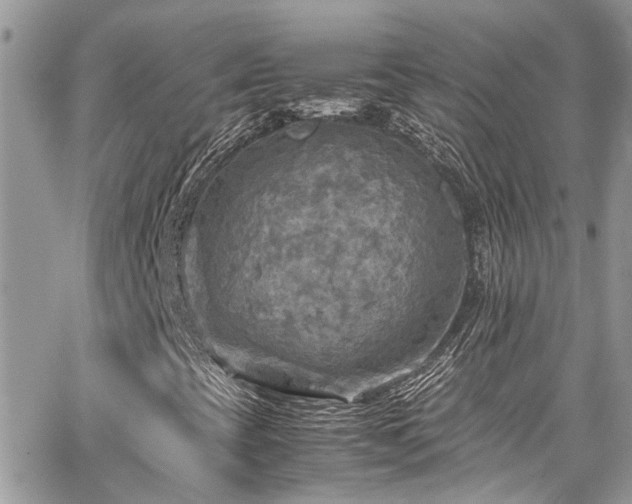 X0000065241393200602171412