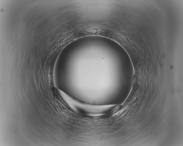 X0000065241394200602171412