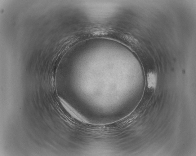 X0000065241444200602171412