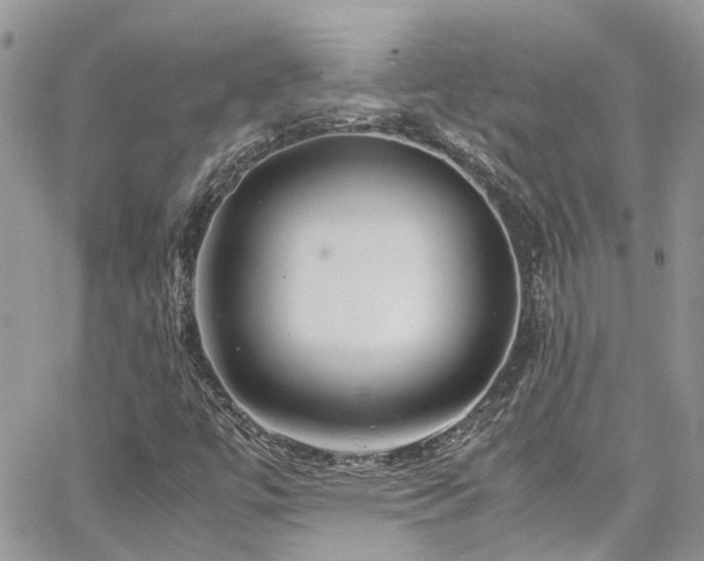 X0000065241447200602171412