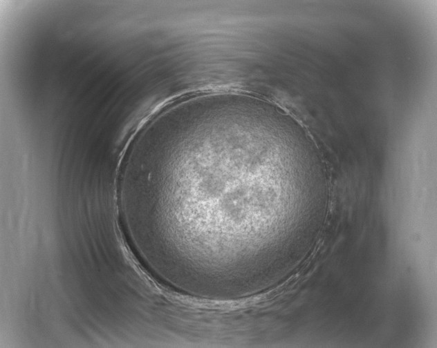 X0000065240002200602211226