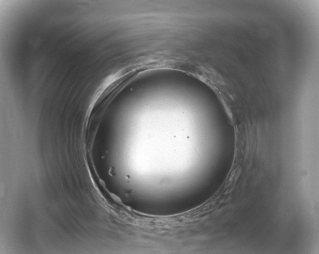 X0000065240003200602211226