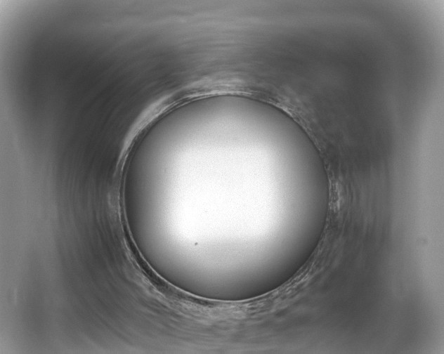 X0000065240004200602211226