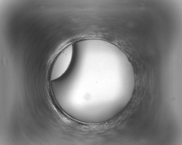 X0000065240005200602211226