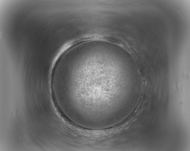 X0000065240006200602211226