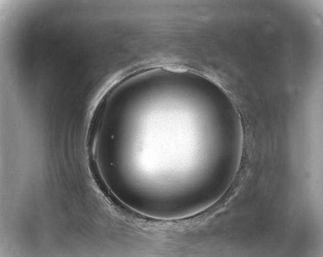 X0000065240007200602211226