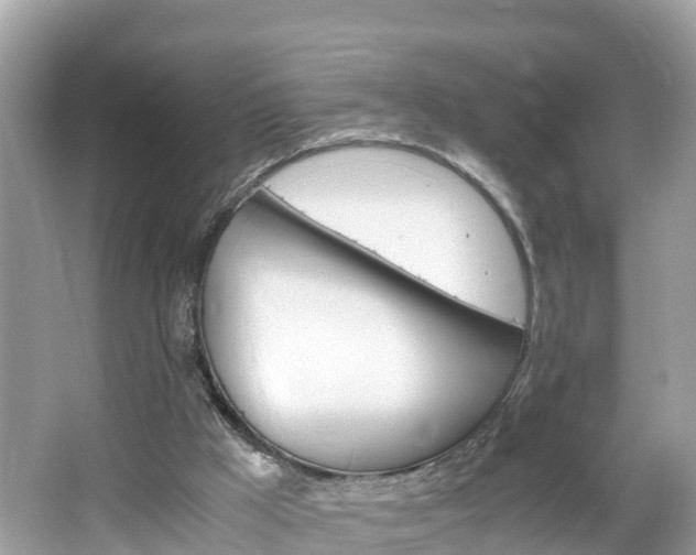 X0000065240009200602211226