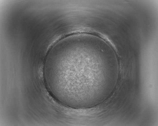 X0000065240010200602211225