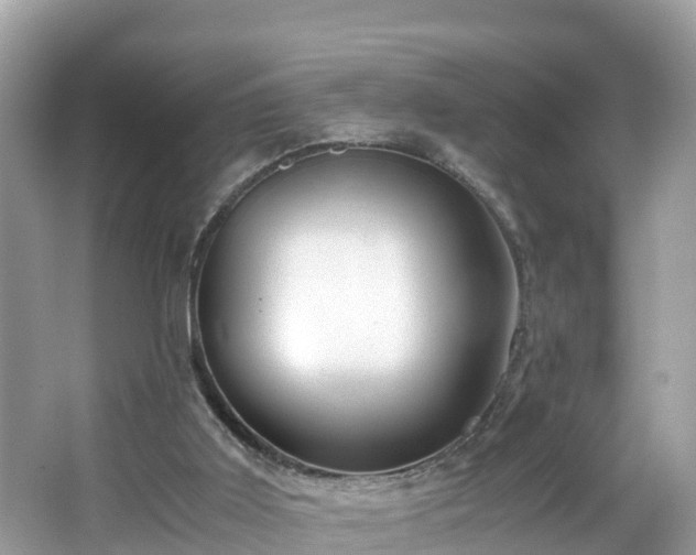 X0000065240011200602211225