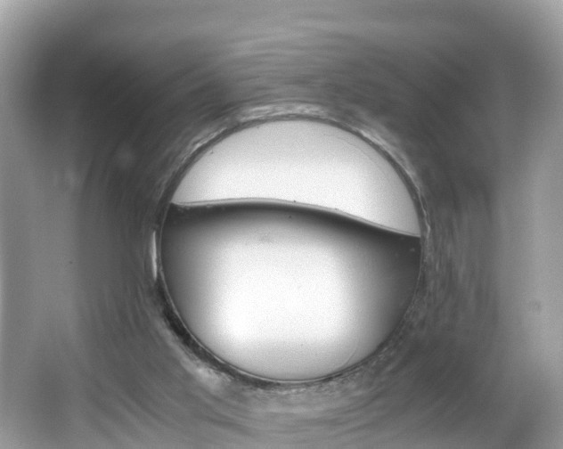 X0000065240013200602211225