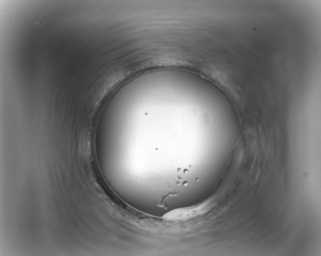 X0000065240015200602211225