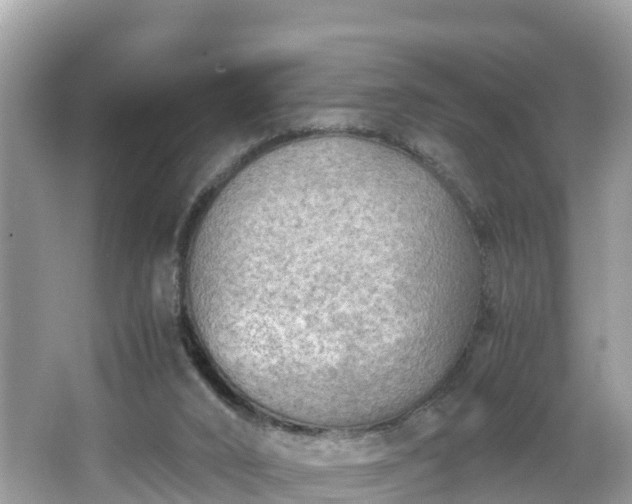 X0000065240016200602211225