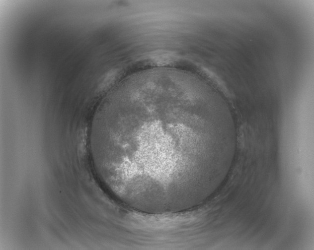 X0000065240018200602211225