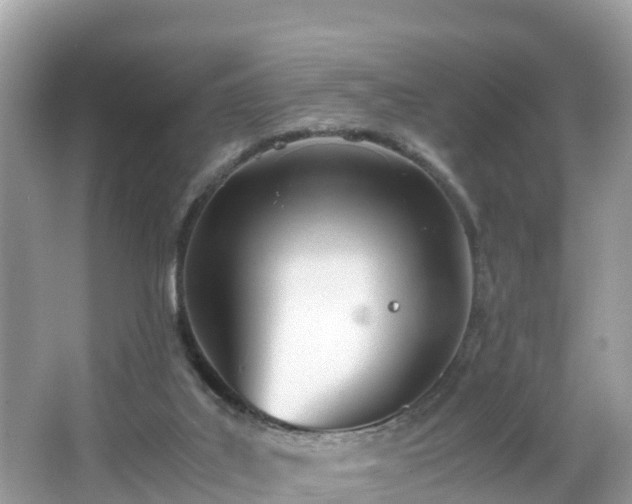 X0000065240019200602211225