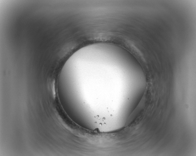 X0000065240020200602211225