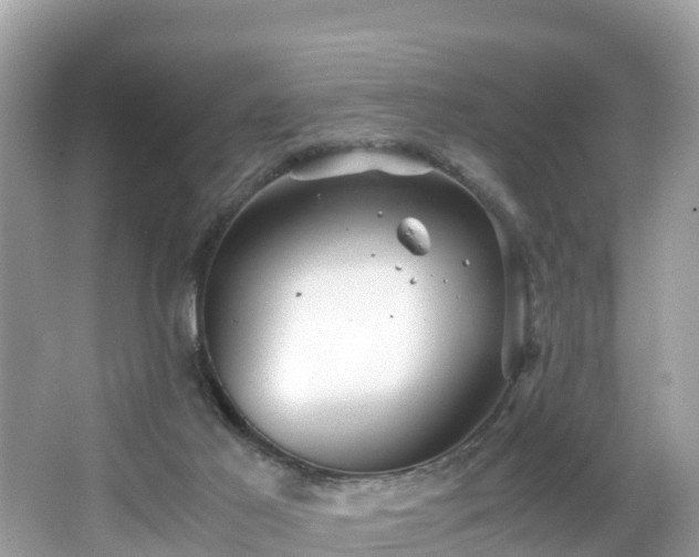 X0000065240021200602211225