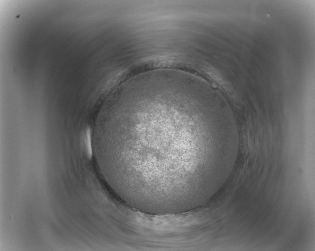 X0000065240022200602211225