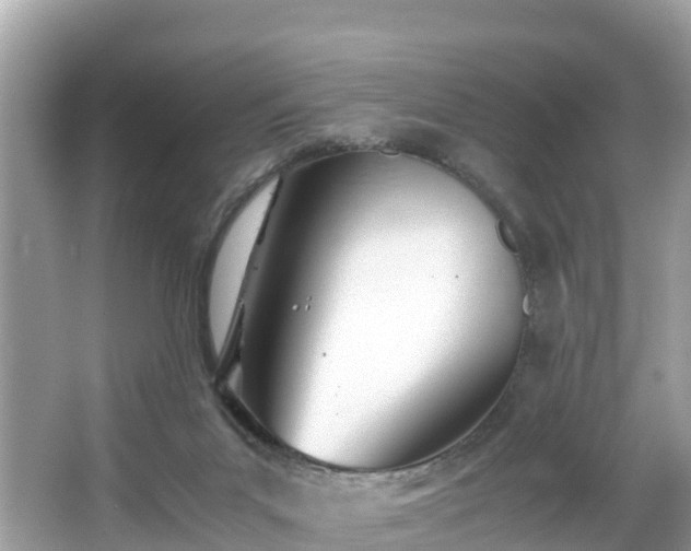 X0000065240023200602211225