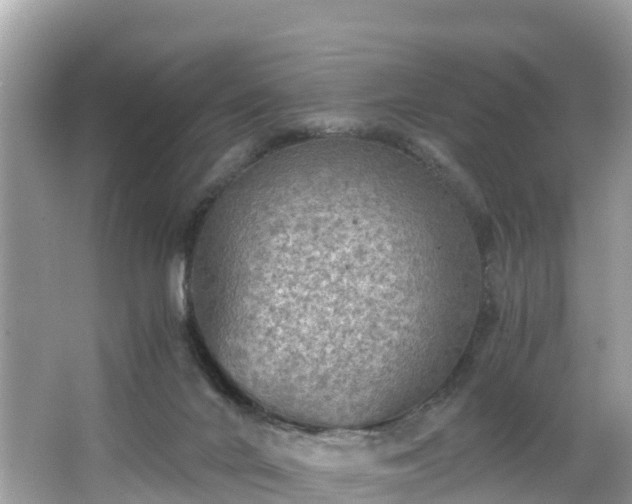 X0000065240024200602211225