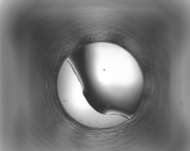 X0000065240025200602211225