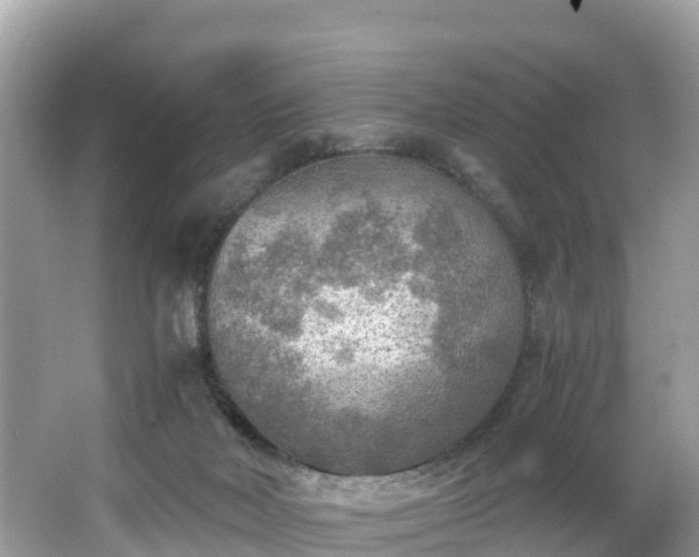 X0000065240026200602211225