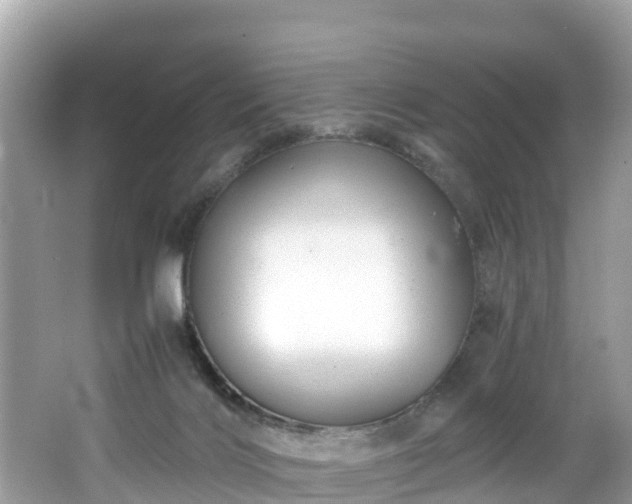 X0000065240028200602211225