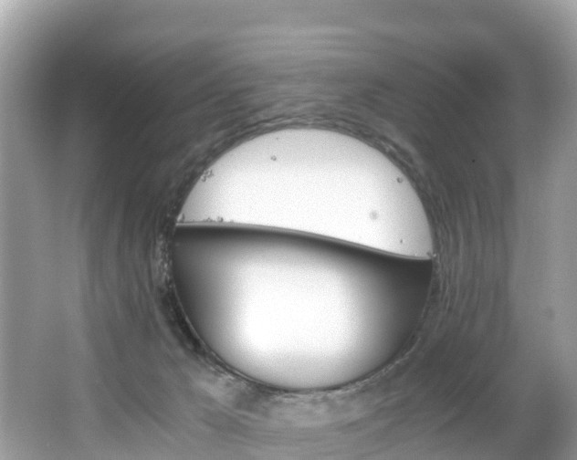 X0000065240029200602211225