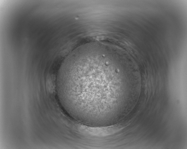 X0000065240030200602211225