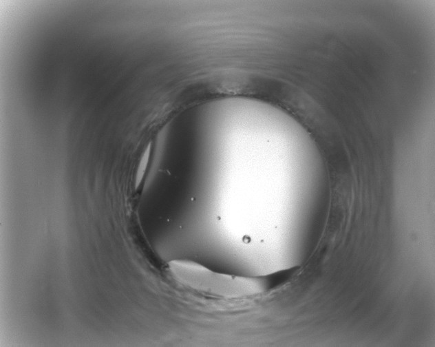 X0000065240031200602211225