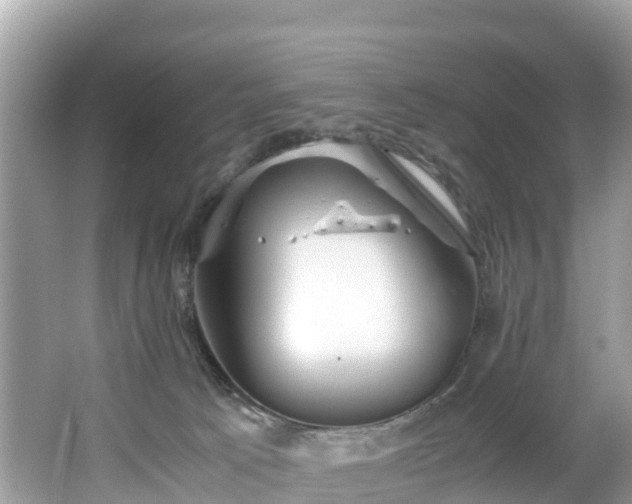 X0000065240033200602211225