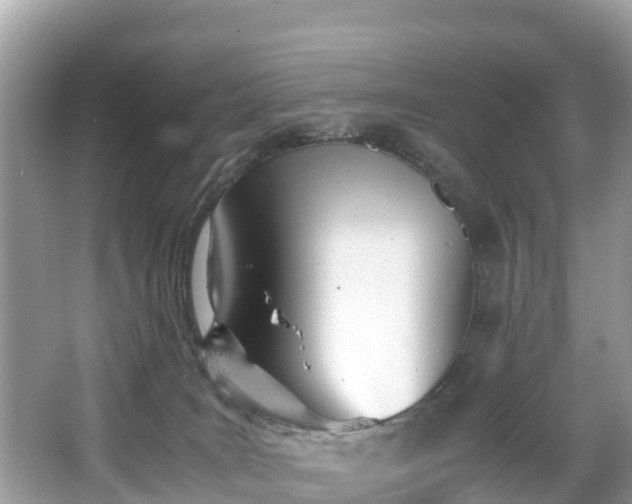 X0000065240035200602211225