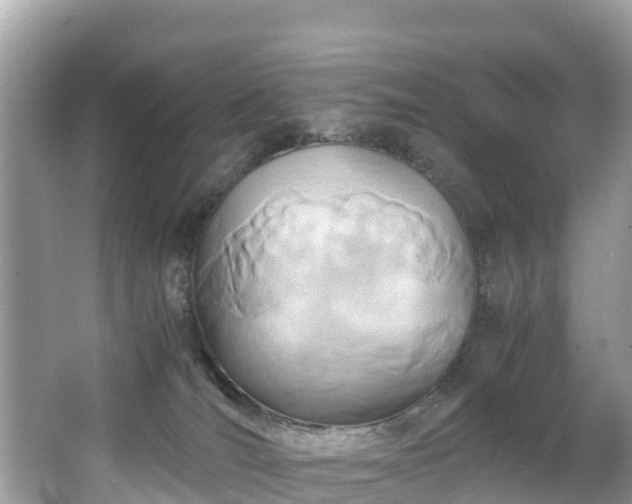 X0000065240036200602211225